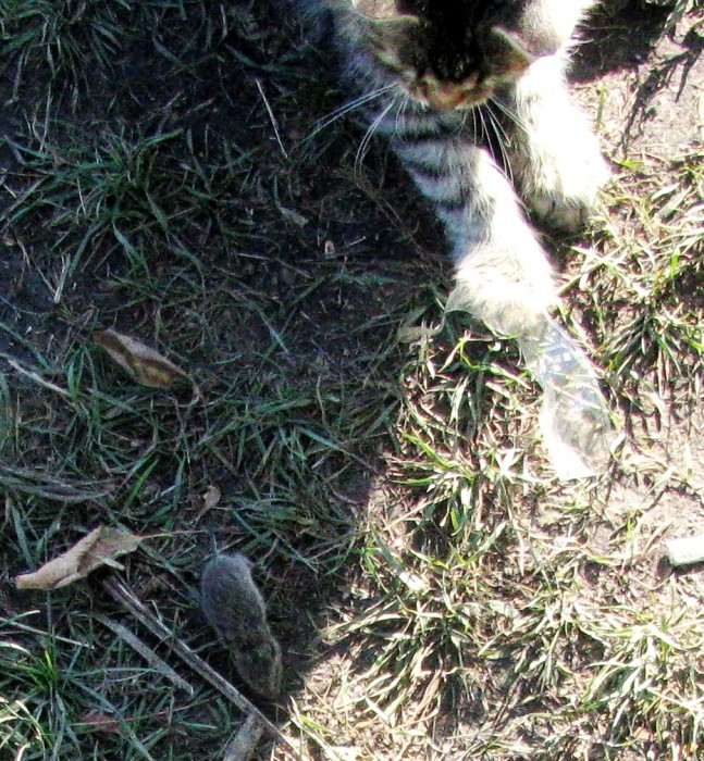 IMG_3947.JPG