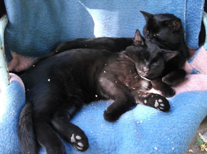 DSCF5108.JPG