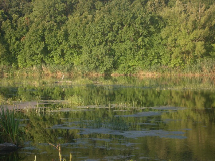 SDC12276.JPG