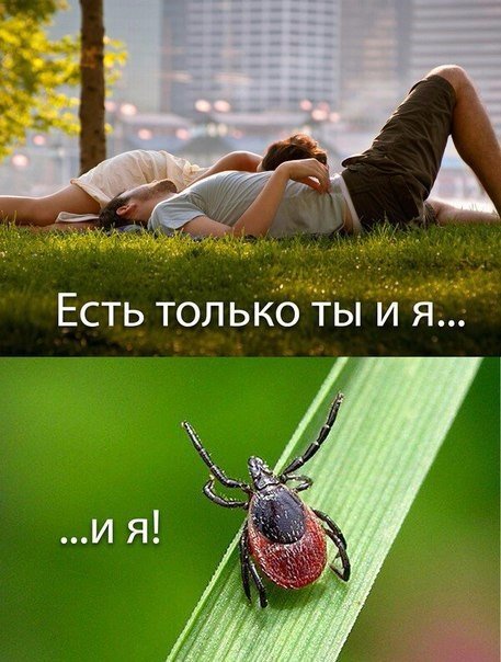 Rgh4JQ_3YPs[1].jpg
