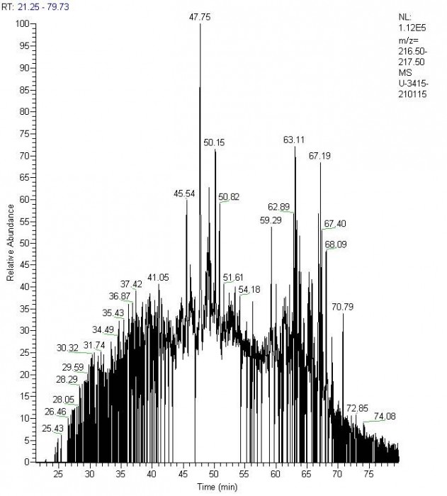 mz217.jpg