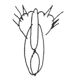 1378812856_1308757008.png
