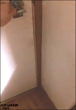 02[1].gif
