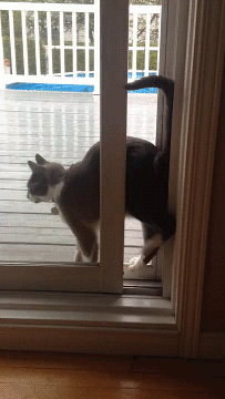 doc145775300_437325352.gif