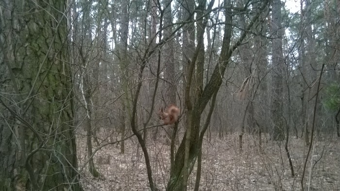 WP_20160311_009.jpg