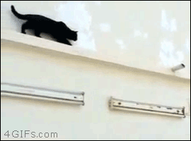 c4507413-db41-441f-a908-4560b2de67c8.gif