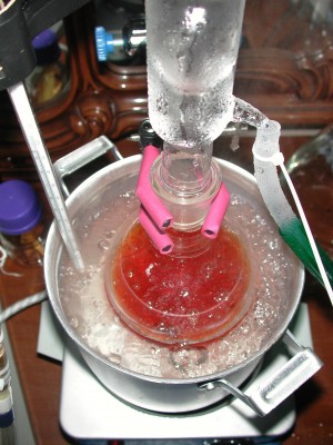 DSCN7296.JPG