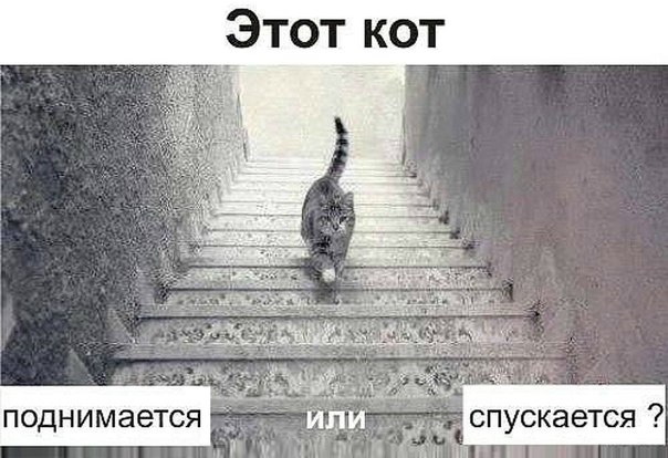 l24rj2D1CBD6FCTfhxmB4V0OPmeSZ4.img.jpg