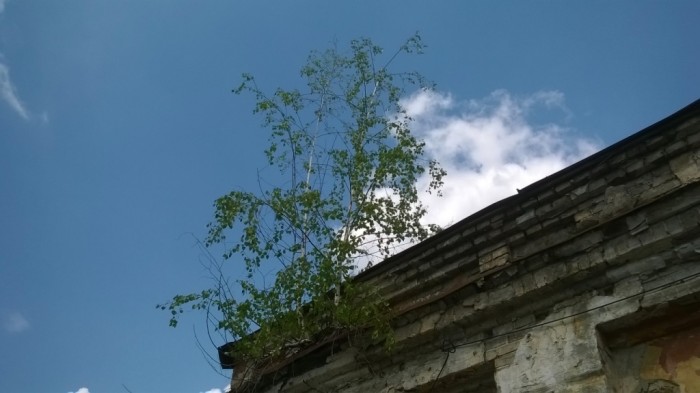 WP_20160531_002.jpg