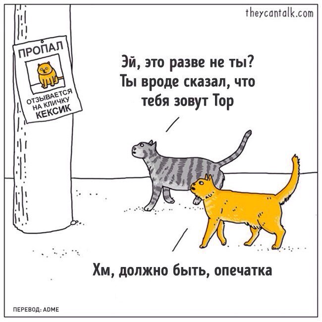 tmp_15888-O4ZvXavAPI81115123747.jpg
