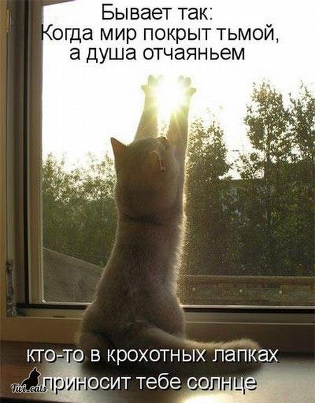 CkhsfzyWUAQA07b[1].jpg