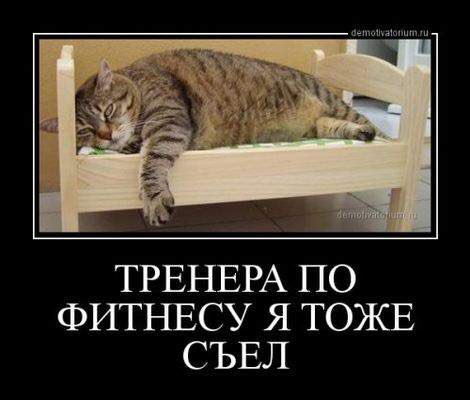 ClVwcWCUgAAi6lZ.jpg large.jpg