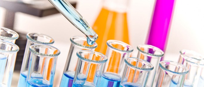 lab_big[1].jpg