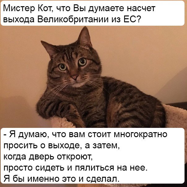 CnCQYQDWIAIO8BW[1].jpg