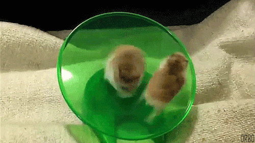 tmp_31544-doc53445816_437689999-616035017.gif