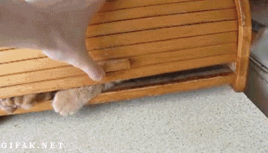 tmp_14825-doc53445816_437748723-284702967.gif