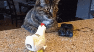 doc316653563_437896134.gif