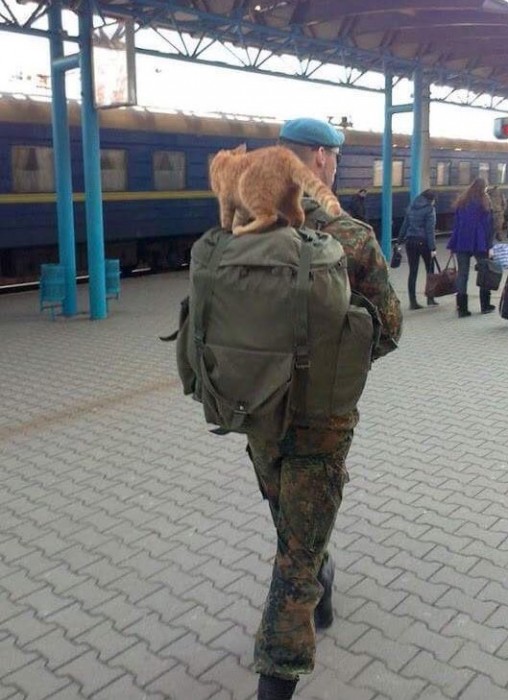 Csf8M2YXYAAsLVC[1].jpg