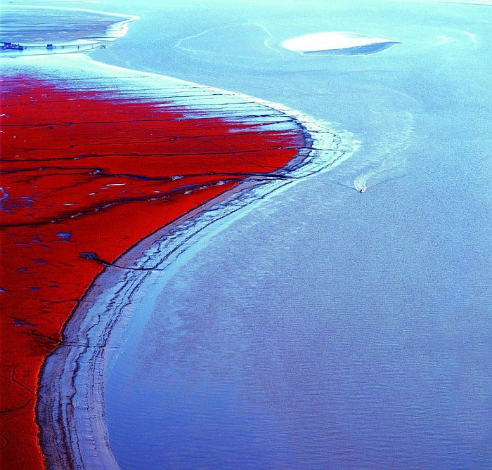 panjin-red-beach-007[1].jpg