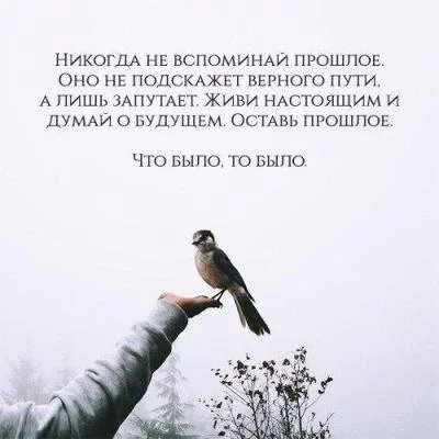 CtiMulXWcAAWoEn[1].jpg