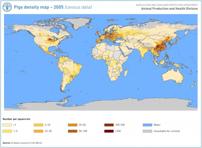 pigs_census-2005.jpg