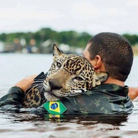 CuUQ2zsWcAAaAEr[1].jpg