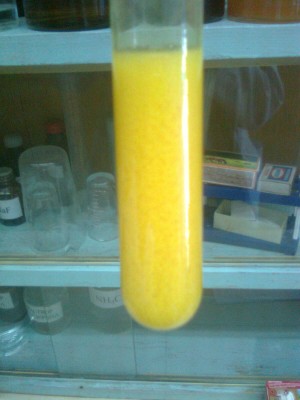 Image0000.jpg