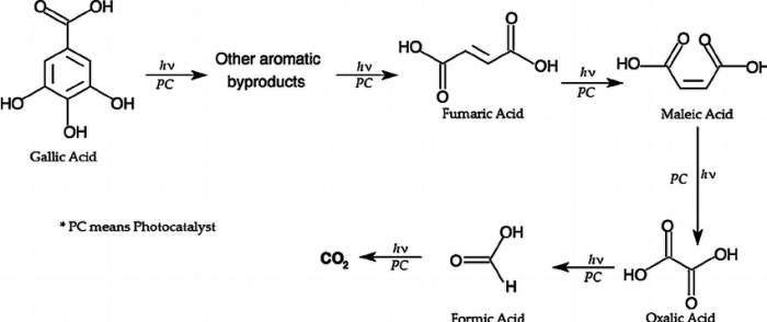 Fig-13-Proposed-reaction-sequence-for-the-photocatalytic-degradation-of-gallic-acid.png