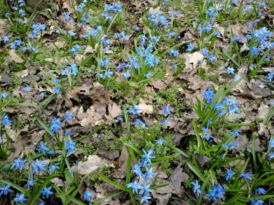 23042011215.jpg