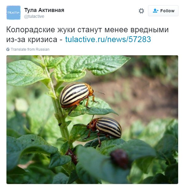 C1VsNVwXUAEUOKL[1].jpg