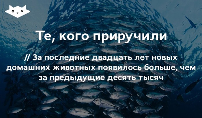 tmp_10302-amOa-z4qPfE-1015057627.jpg
