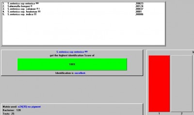 574kss3 salmonella enterica (IDBACT).jpg