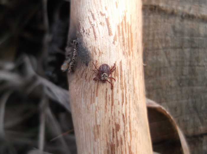 DSCF5894.JPG