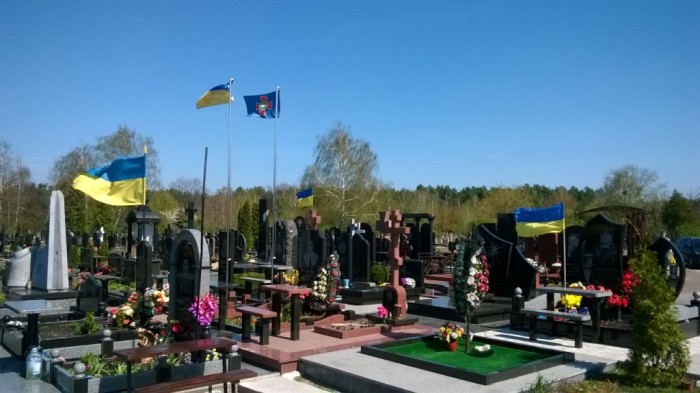 WP_20170411_007.jpg