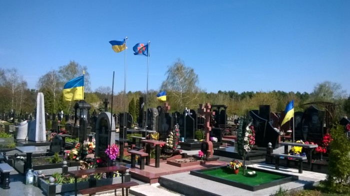 WP_20170411_008.jpg