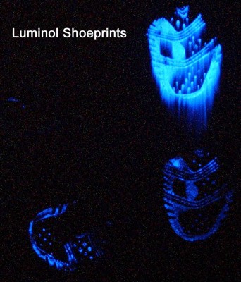 Luminol-Shoeprnts.jpg