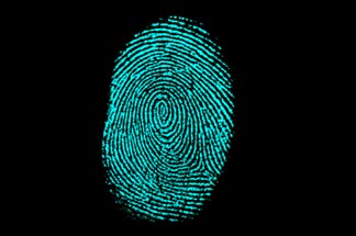 luminol-fingerprints.jpg