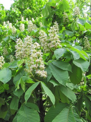 11-07-2010 008.jpg