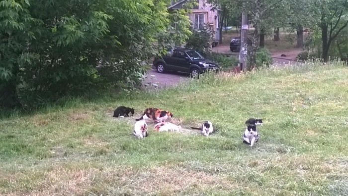 WP_20170615_002.jpg
