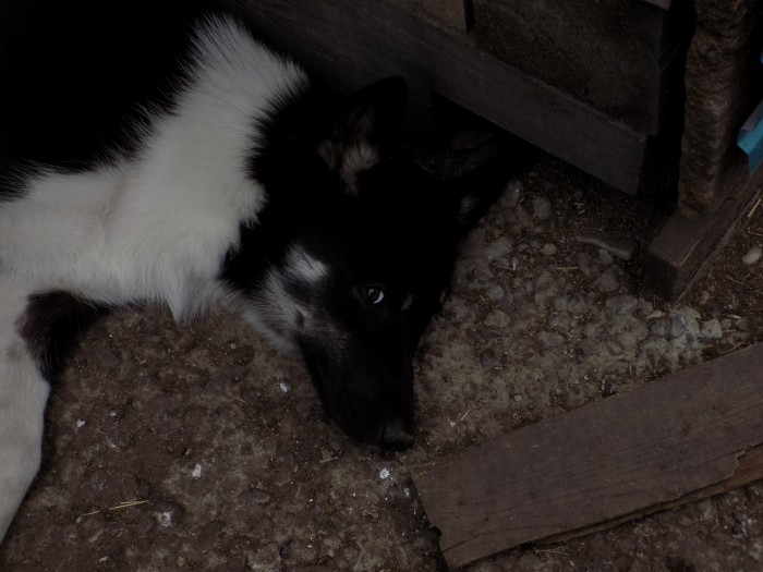 DSCN5109.JPG