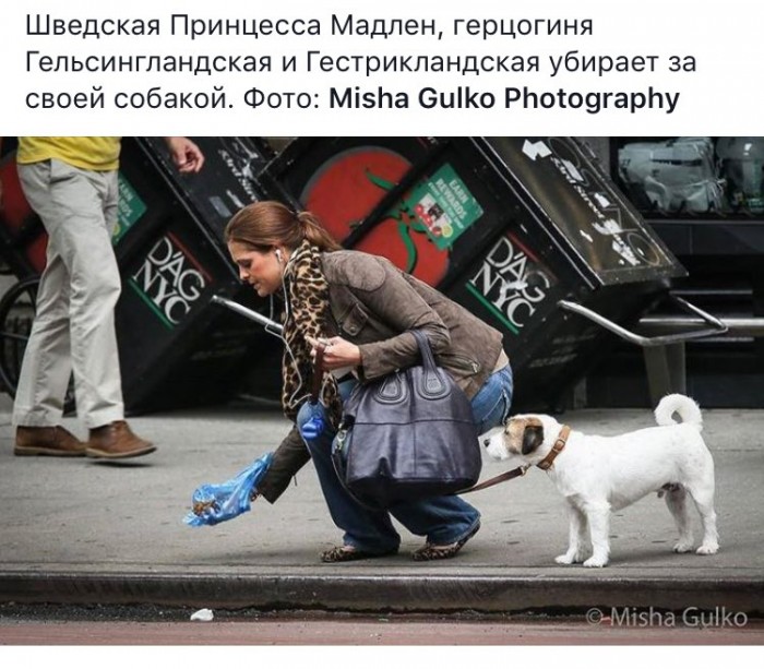 DGAOQ7NXUAA2FRt[1].jpg