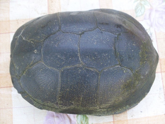 SDC13551.jpg