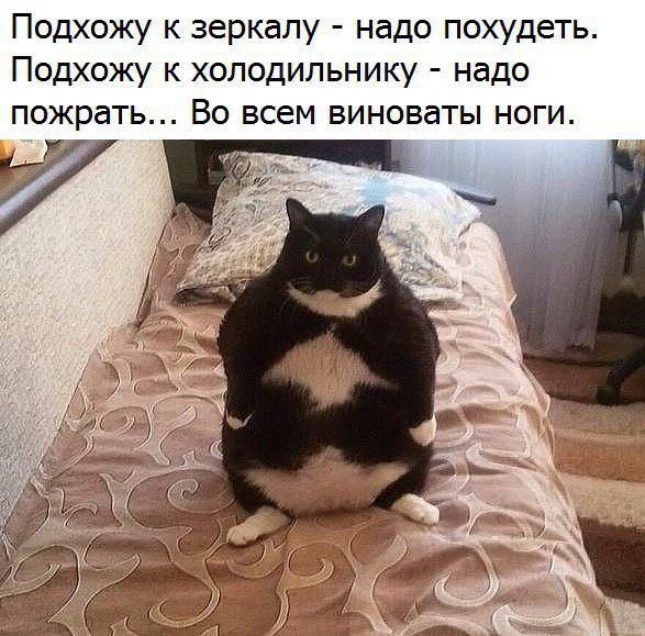 во_всём_виноваты_ноги.jpg