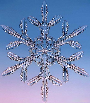 snow_13.jpg