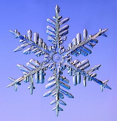 snow_31.jpg