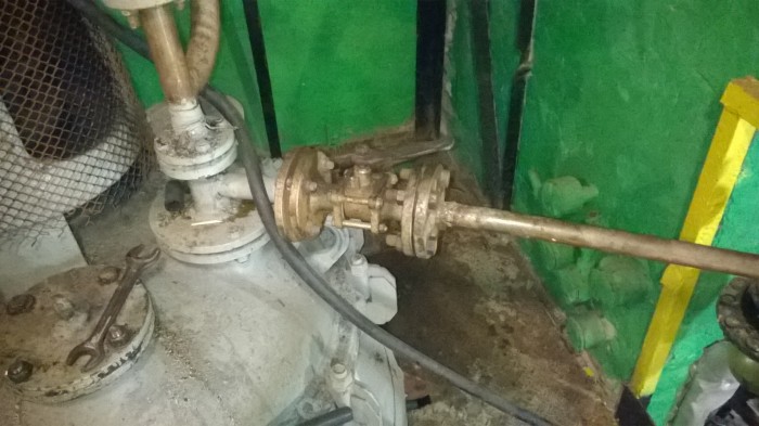 WP_20180904_013.jpg