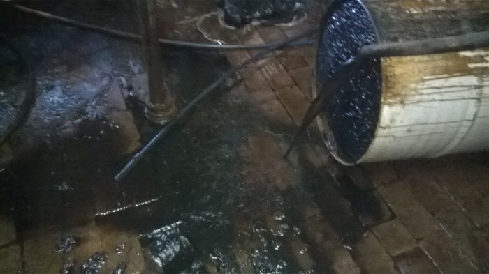 WP_20180920_007.jpg