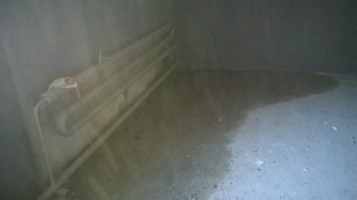 WP_20181001_003.jpg
