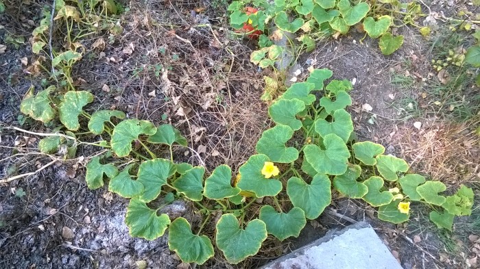 WP_20181008_003.jpg