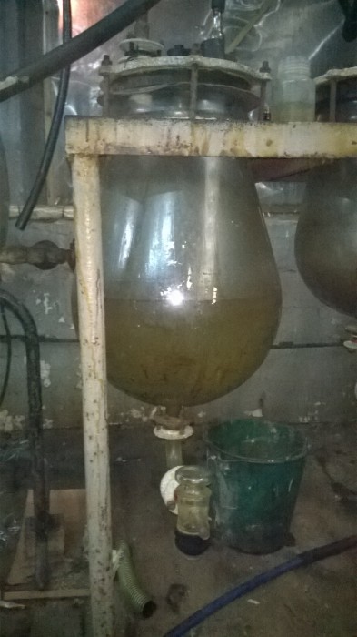 WP_20181018_023.jpg